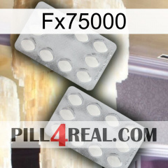 Fx75000 17